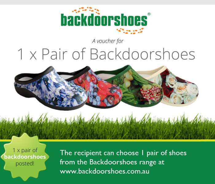 Buy Backdoorshoes Gift Voucher online